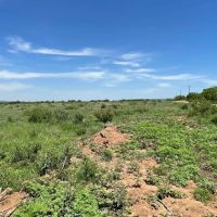 New Listing 25 Acres Taylor County images 3