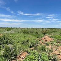 New Listing 25 Acres Taylor County images 4