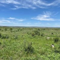 New Listing 25 Acres Taylor County images 5