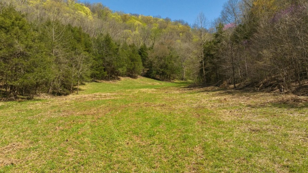 Farmhouse Fields and Freedom Own It All at Auction East Tennessee featured image