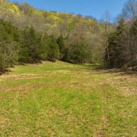Farmhouse Fields and Freedom Own It All at Auction East Tennessee