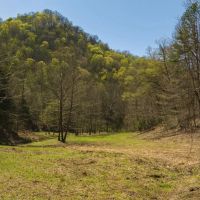 Farmhouse Fields and Freedom Own It All at Auction East Tennessee images 2