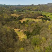Farmhouse Fields and Freedom Own It All at Auction East Tennessee images 3
