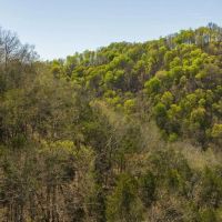 Farmhouse Fields and Freedom Own It All at Auction East Tennessee images 4