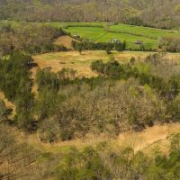 Farmhouse Fields and Freedom Own It All at Auction East Tennessee images 5