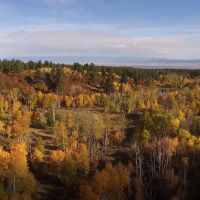 Elk Meadows