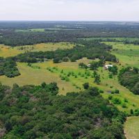 126 Acres in Lee County