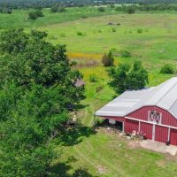 126 Acres in Lee County images 2