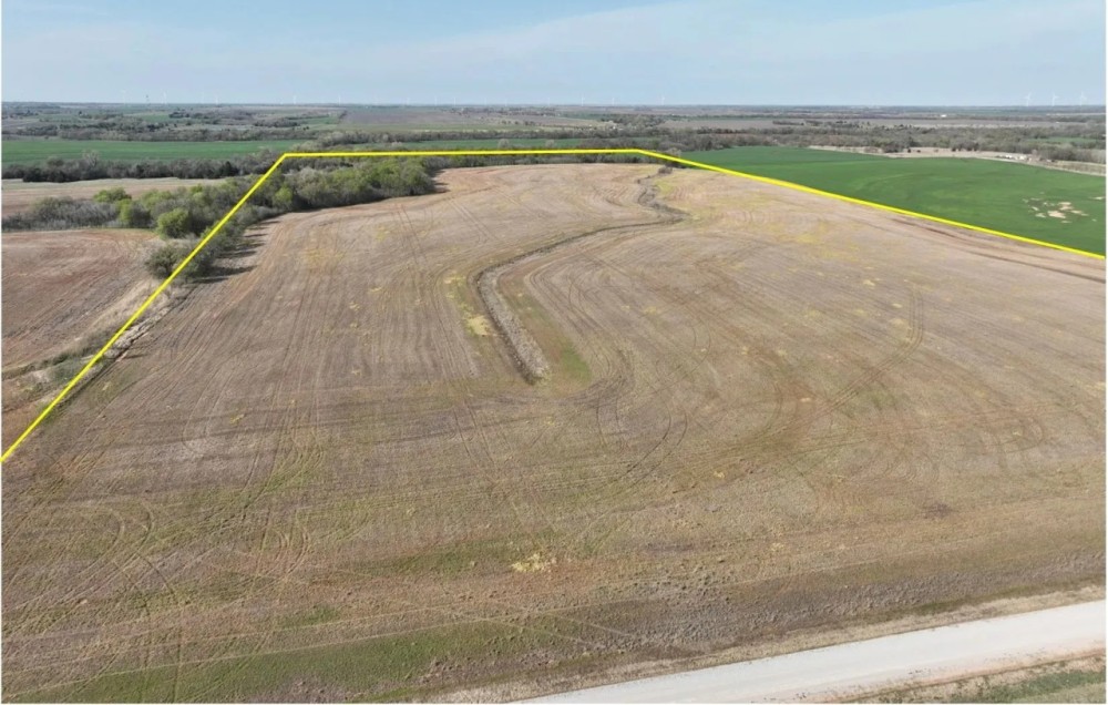 80 Acres Timber Grass Pasture Cropland Hunting More featured image