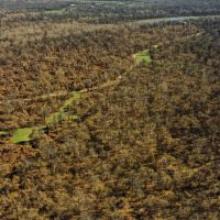 One Equity Share at Smith Point Hunting Club in Bolivar County MS images 5