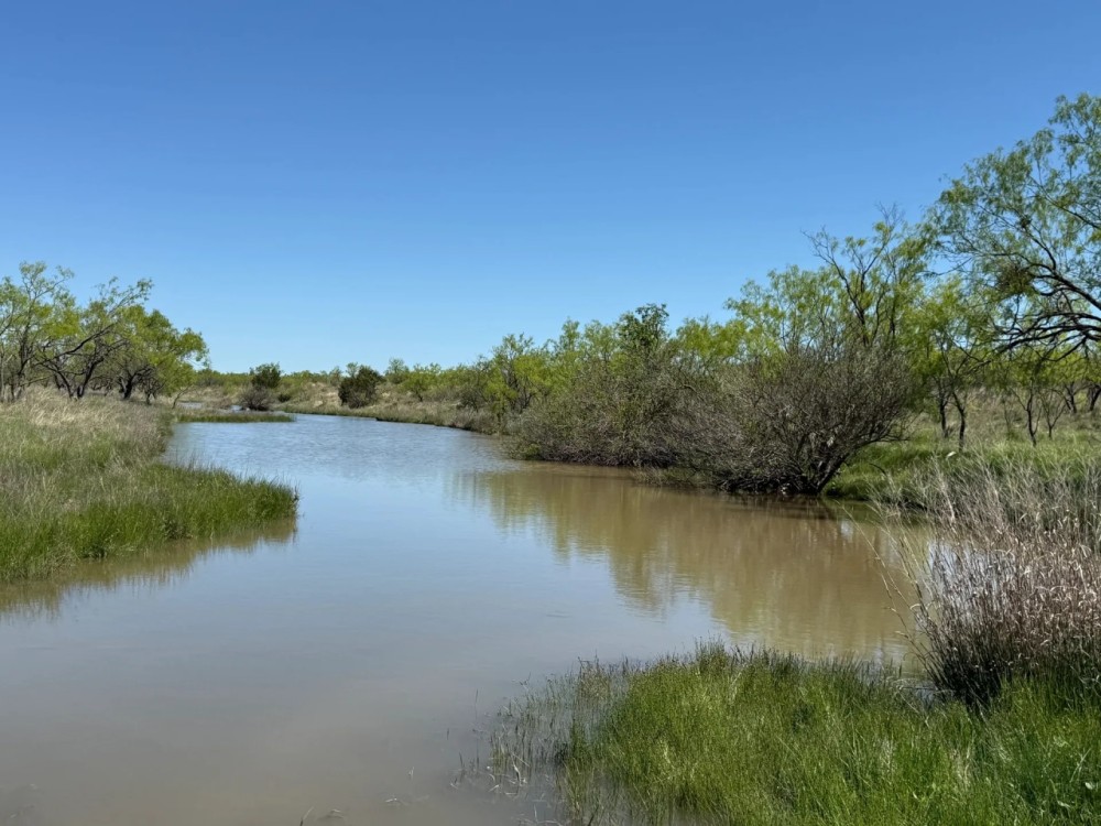 2240 - Acres….Hog Creek House Elevation Hunting Much more featured image