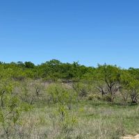 2240 - Acres….Hog Creek House Elevation Hunting Much more images 4