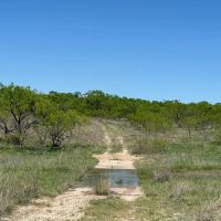 2240 - Acres….Hog Creek House Elevation Hunting Much more images 5