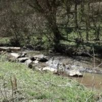 170.86 AC W CREEK SPRINGS PASTURE VIEWS EASY ACCESS OLD HOME SPRING WELL ROCK FORMATIONS NO RESTRICTIONS images 2