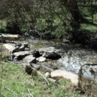170.86 AC W CREEK SPRINGS PASTURE VIEWS EASY ACCESS OLD HOME SPRING WELL ROCK FORMATIONS NO RESTRICTIONS images 5
