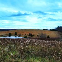 257 ACRE FARM WITH PANORAMIC VIEWS IN CRAB ORCHARD TENNESSEE images 2