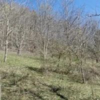 35.68 AC W POND CREEK ROCK FORMATIONS VIEWS BUILDING SITE GREAT HUNTING