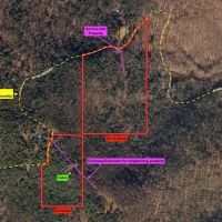 39 acres Cabin with Hunting Land in Portville NY 1173 Little Loop Rd images 2