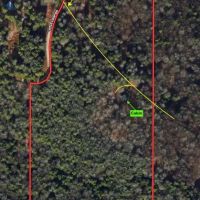 39 acres Cabin with Hunting Land in Portville NY 1173 Little Loop Rd images 3