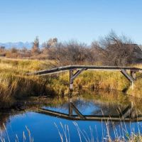 Gallatin Crosswaters Estate images 5
