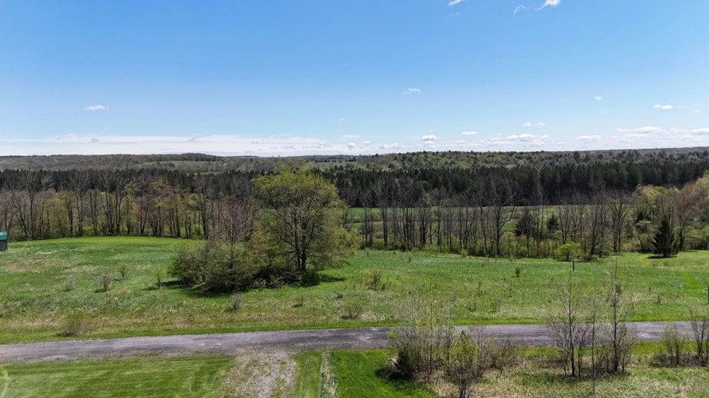 7 acres Southern Tier Hunting Land Plymouth NY featured image