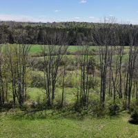 7 acres Southern Tier Hunting Land Plymouth NY images 2