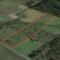 7 acres Southern Tier Hunting Land Plymouth NY images 4
