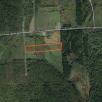 7 acres Southern Tier Hunting Land Plymouth NY images 5