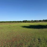 LA - Franklin 60 acres - images 4