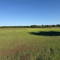 LA - Franklin 60 acres - images 5