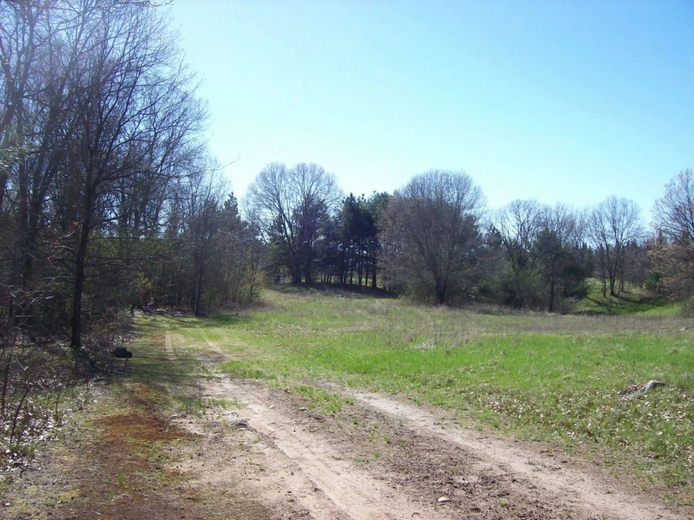 Beautiful Property Located a Few Miles North of Wautoma featured image