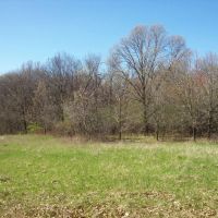 Beautiful Property Located a Few Miles North of Wautoma images 2