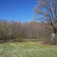 Beautiful Property Located a Few Miles North of Wautoma images 3