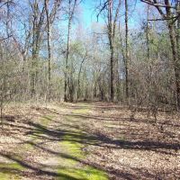 Beautiful Property Located a Few Miles North of Wautoma images 5