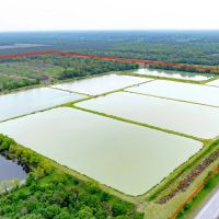 295-Acre Catfish Reserve Recreational Property in Clarksville TX images 2