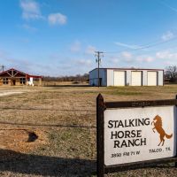 Stalking Horse Ranch