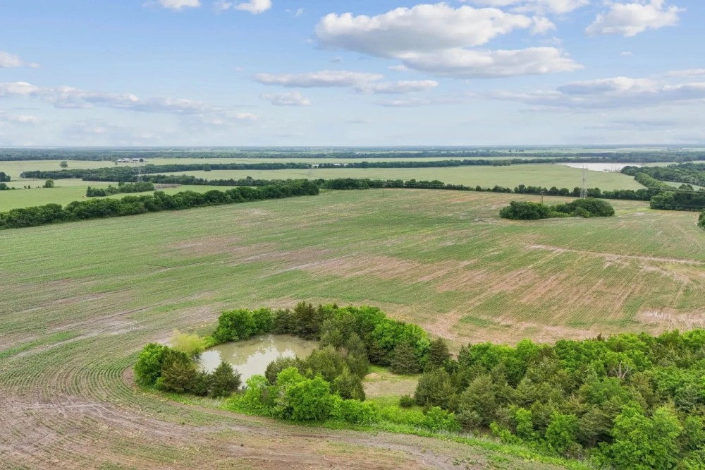 Petty Farms featured image