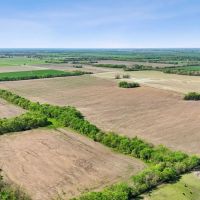 Petty Farms images 2