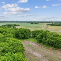 Petty Farms images 5