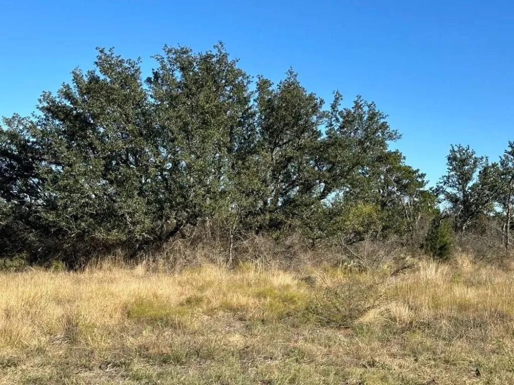 103 - Acres….Oaks Elevation Hunting Paved access Homesites featured image