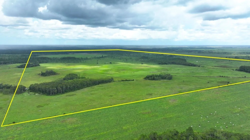 Osceola Legacy Ranch featured image