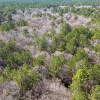 0 Whispering Pines Drive Lumberton Texas 77657 Hardin County images 2