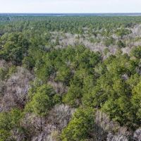0 Whispering Pines Drive Lumberton Texas 77657 Hardin County images 3