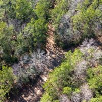 0 Whispering Pines Drive Lumberton Texas 77657 Hardin County images 4
