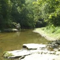 247.31 AC W CREEK THROUGH THE PROPERTY MARKETABLE TIMBER BUILDING SITES MORE