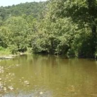 247.31 AC W CREEK THROUGH THE PROPERTY MARKETABLE TIMBER BUILDING SITES MORE images 4
