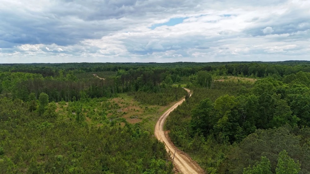252 Acres in Chester County TN featured image