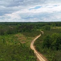 252 Acres in Chester County TN
