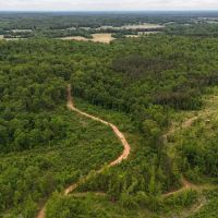 252 Acres in Chester County TN images 3
