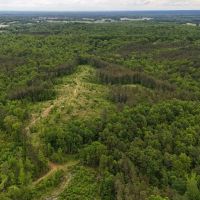 252 Acres in Chester County TN images 4